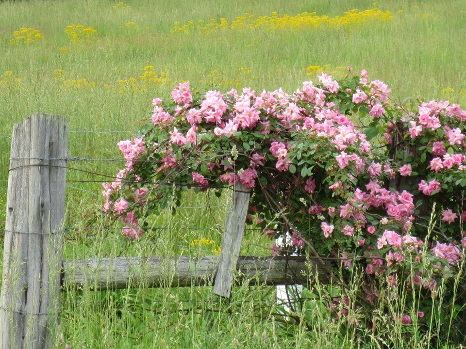 ...pohlazení na duši 8...