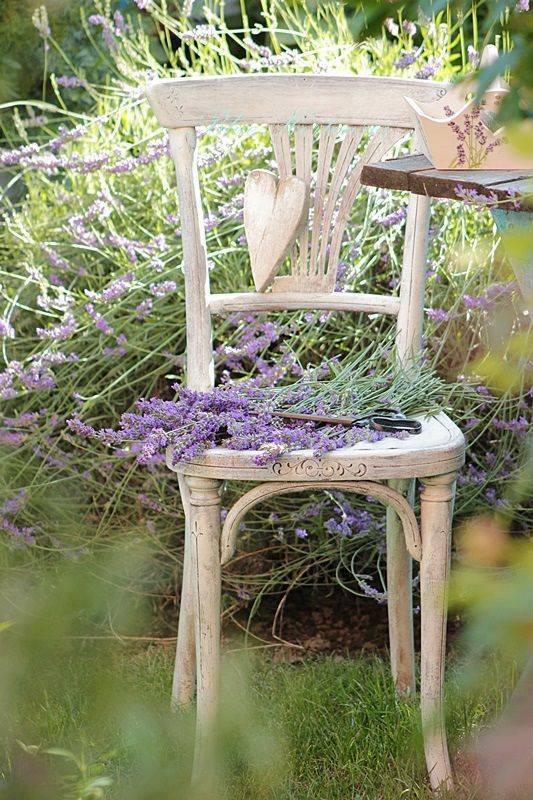 ...pohlazení na duši 8...