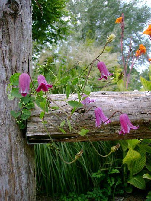 ...pohlazení na duši 8...