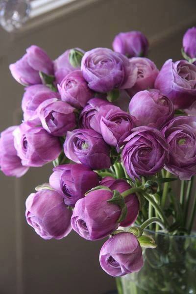 ...pohlazení na duši 8...