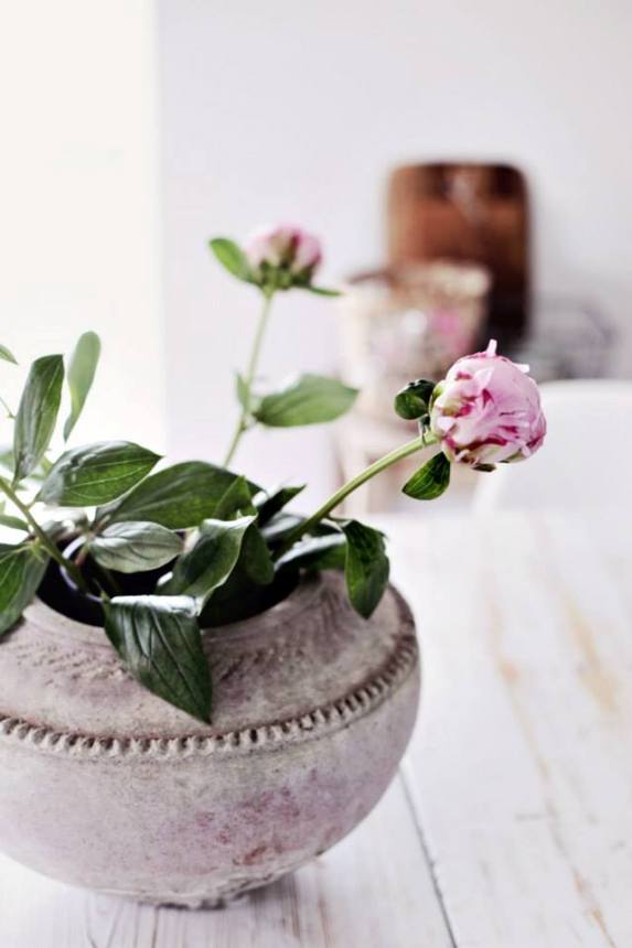 ...pohlazení na duši 8...