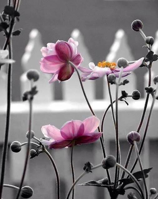 ...pohlazení na duši 8...