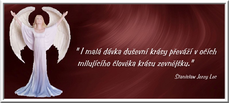 CITÁTY