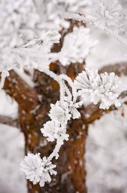 ...pohlazení na duši 1...