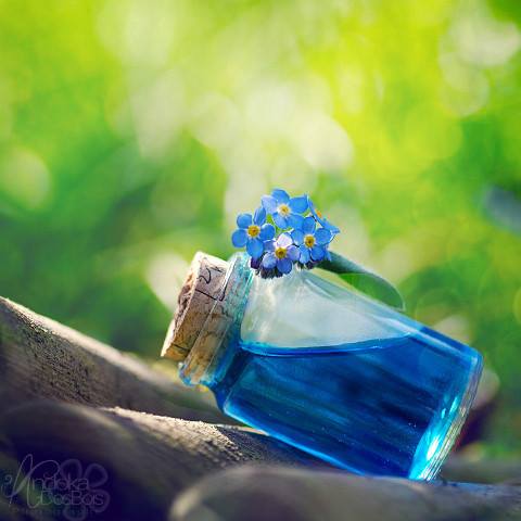 ...pohlazení na duši 1...