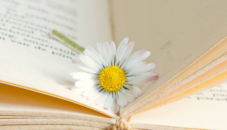 ...pohlazení na duši 1...