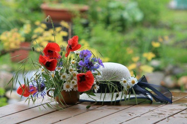 ...pohlazení na duši 1...