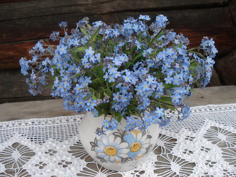 ...pohlazení na duši 1...