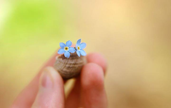 ...pohlazení na duši 1...