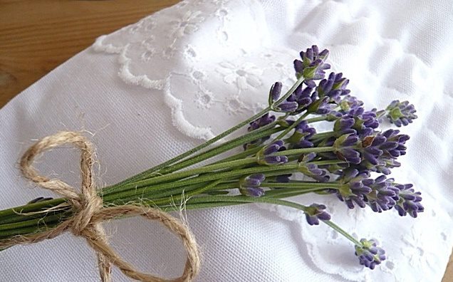 ...pohlazení na duši 1...