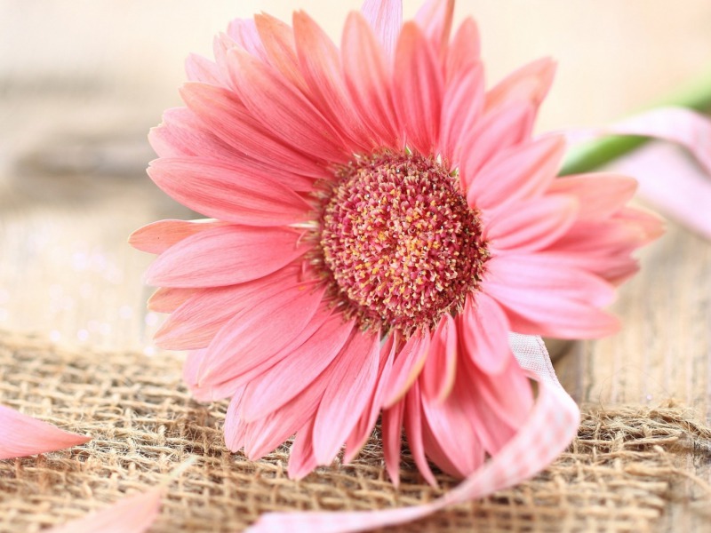 ...pohlazení na duši 1...