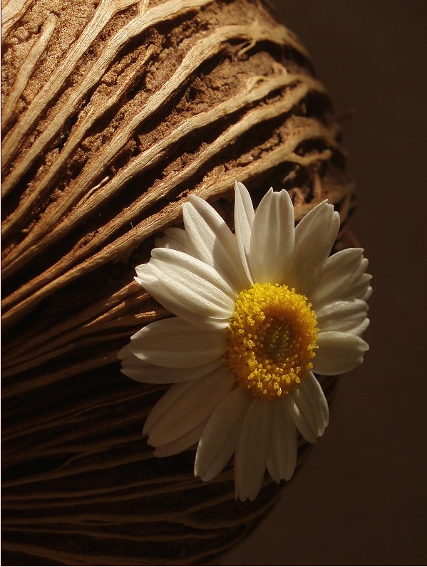 ...pohlazení na duši 1...