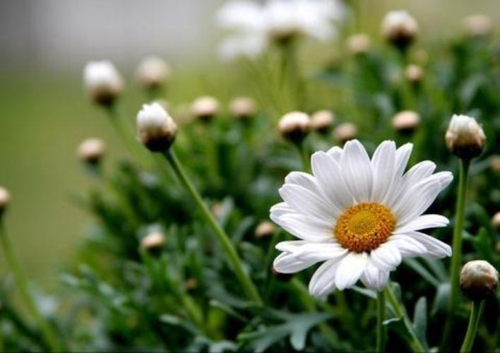 ...pohlazení na duši 1...