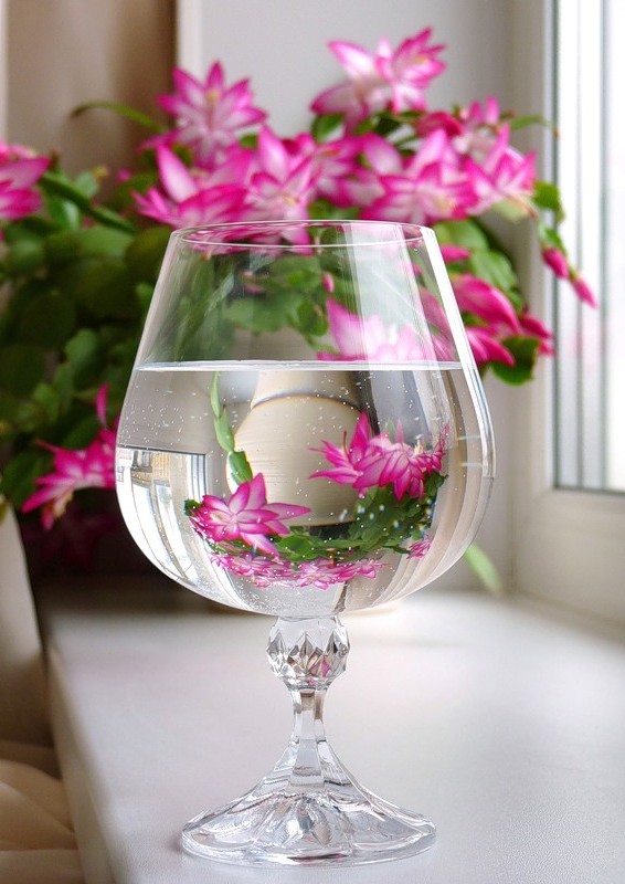 ...pohlazení na duši 1...