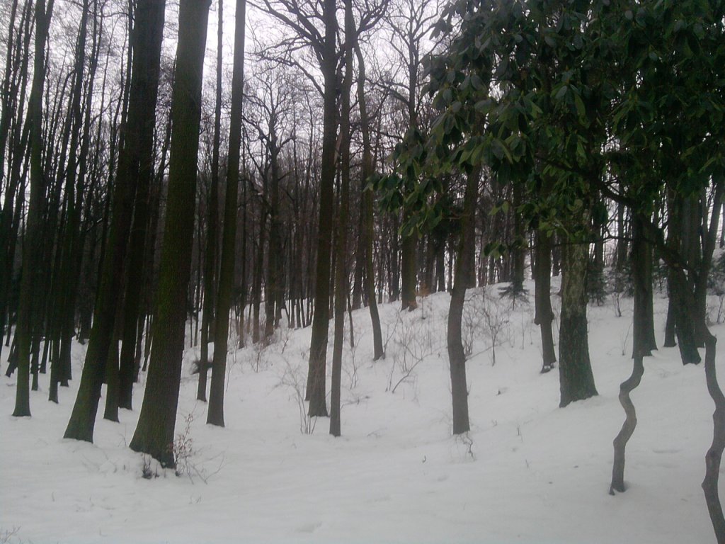 Neveřejné