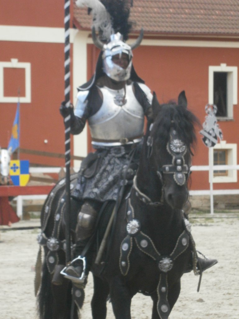 nejkrásnější kůň v rytířském turnaji Dětenice