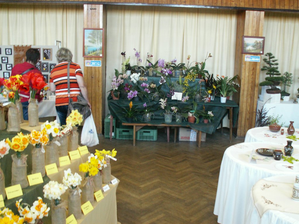 Výstava květin
