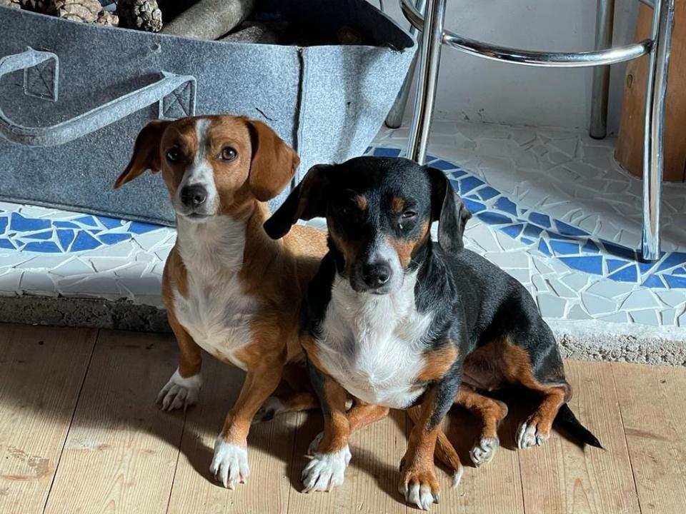 Moje holky - Sara a Jackie