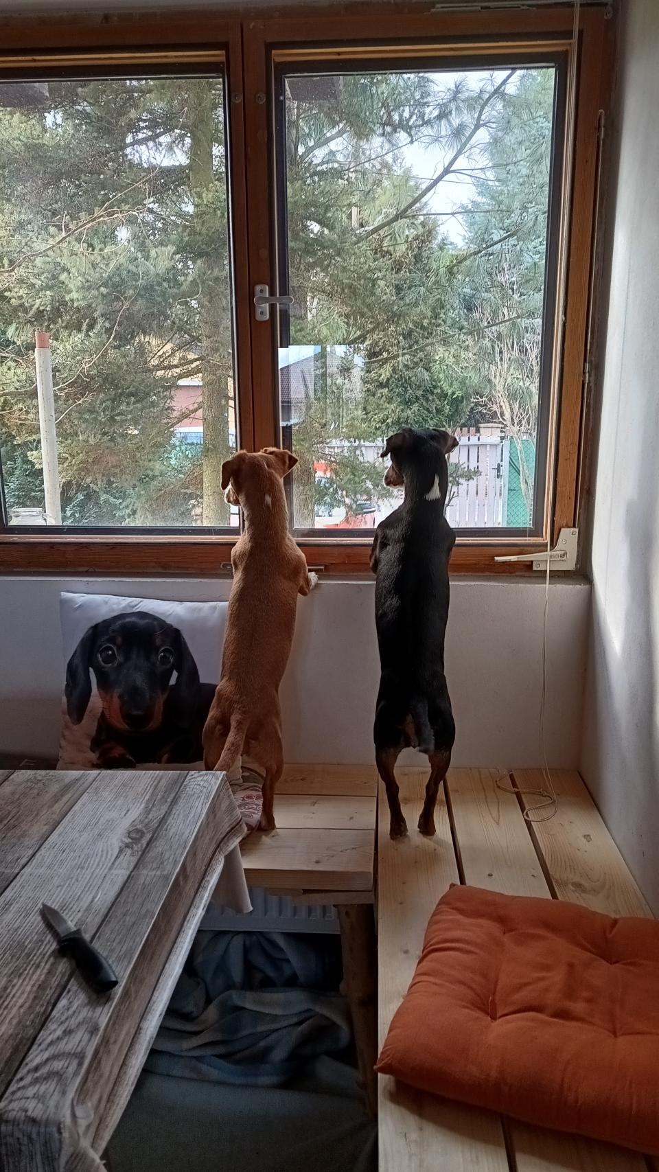 Moje holky - Sara a Jackie