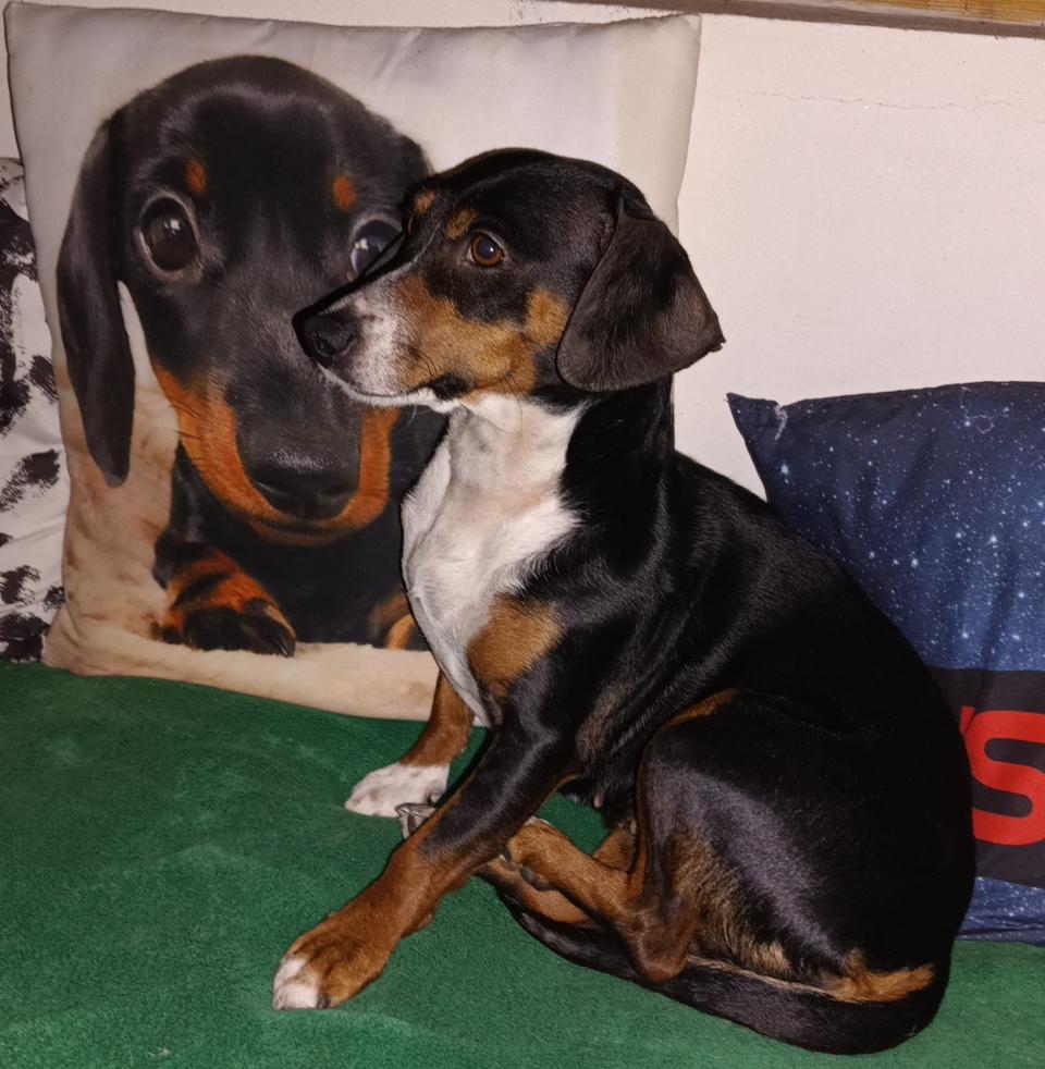 Moje holky - Sara a Jackie