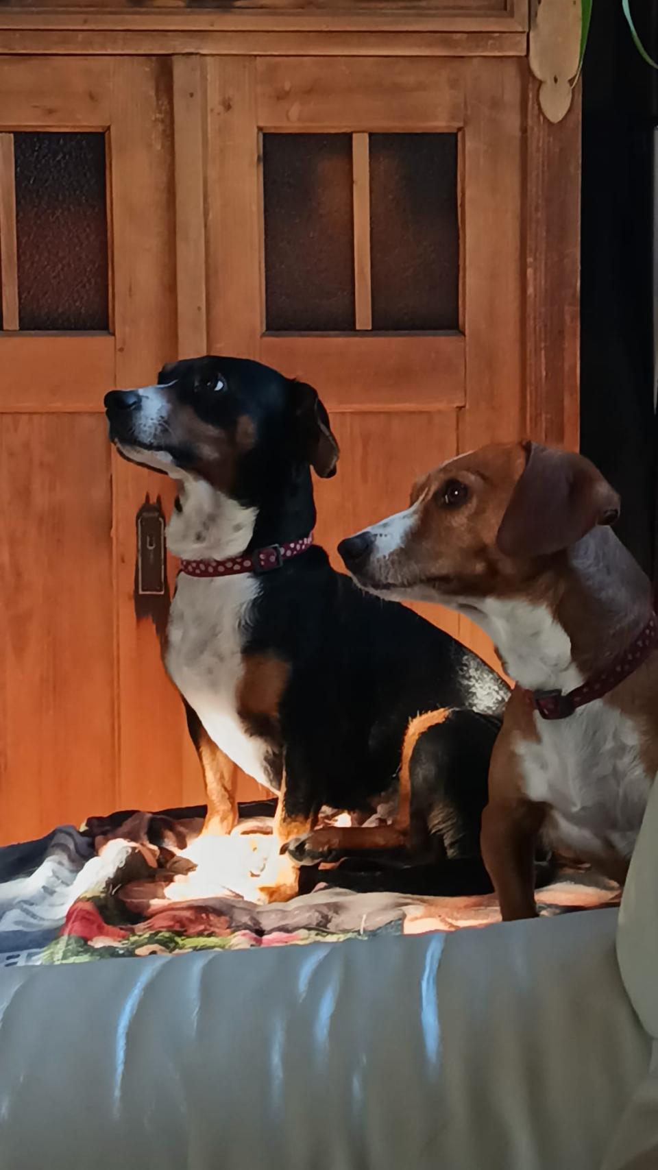 Moje holky - Sara a Jackie