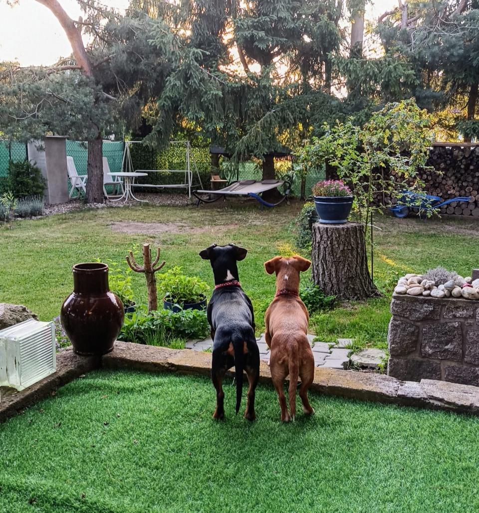 Moje holky - Sara a Jackie