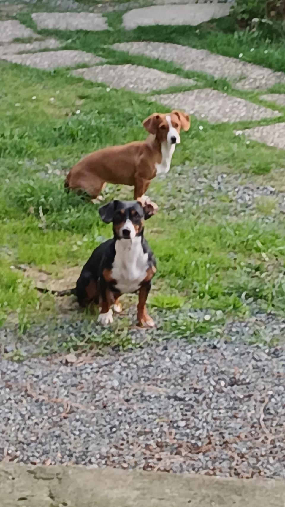 Moje holky - Sara a Jackie