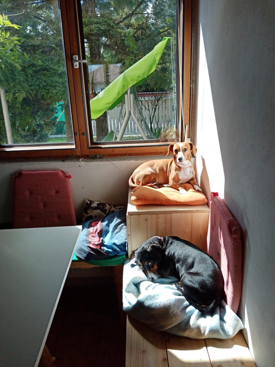 Moje holky - Sara a Jackie