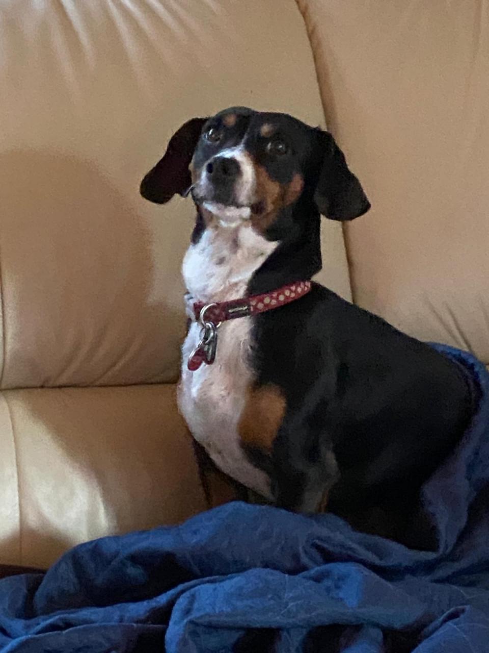 Moje holky - Sara a Jackie