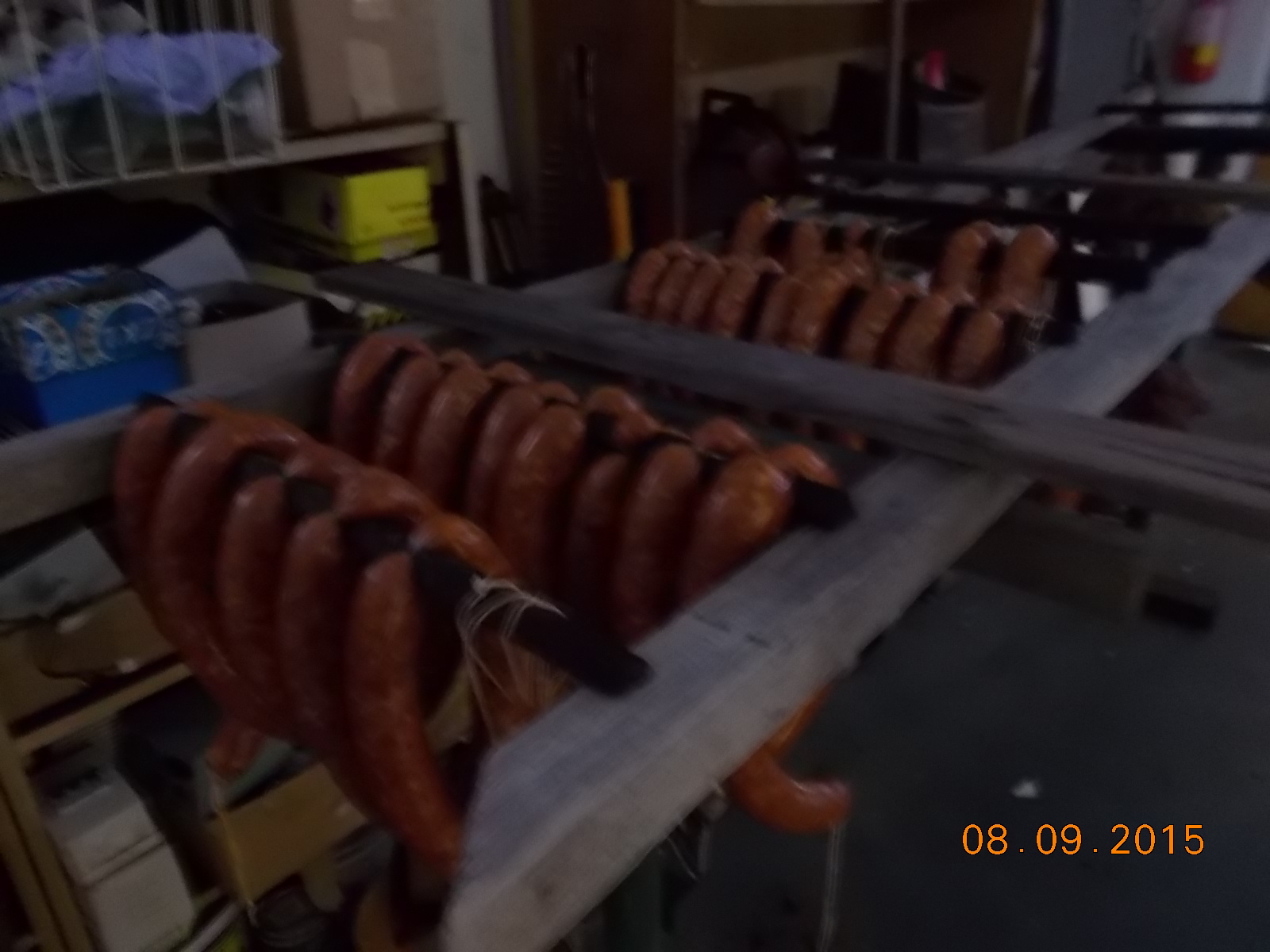 září 2015 - dovča