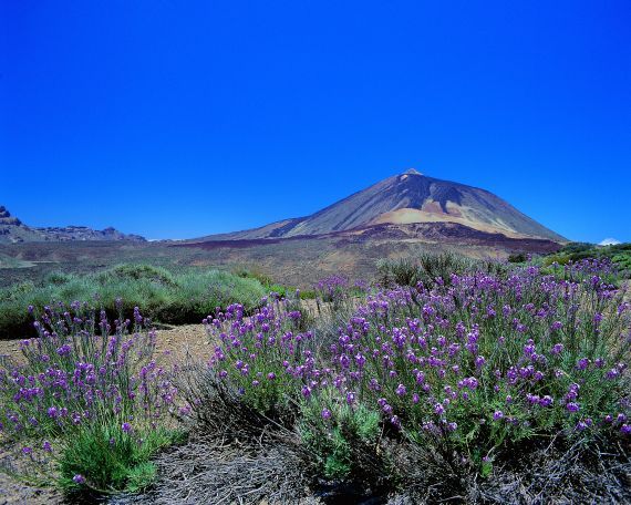 Pico del Teide (Tenerife - Kanárské ostrovy - květen 2000)
