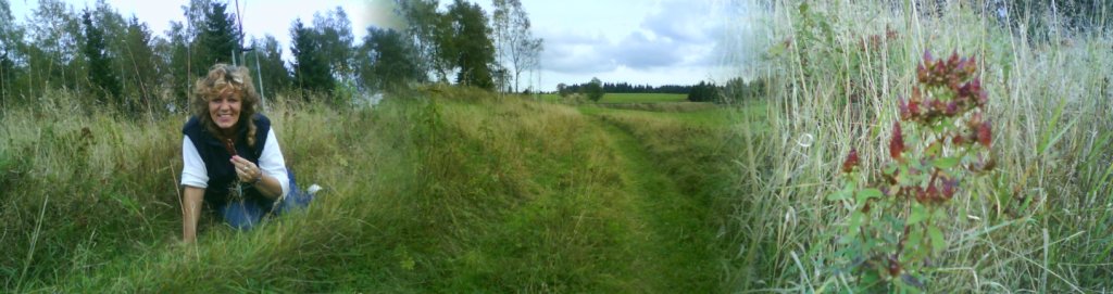 Moje zlatíčka i já...