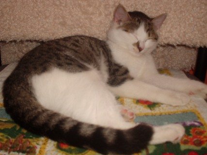 Nový přírustek v rodině