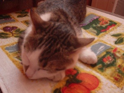 Nový přírustek v rodině