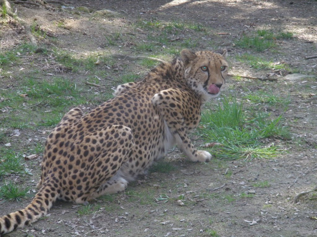 Veřejné