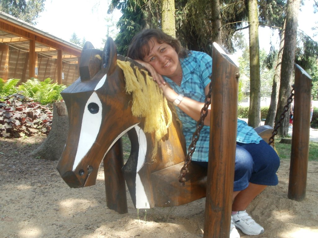 DINOPARK VYŠKOV 2011