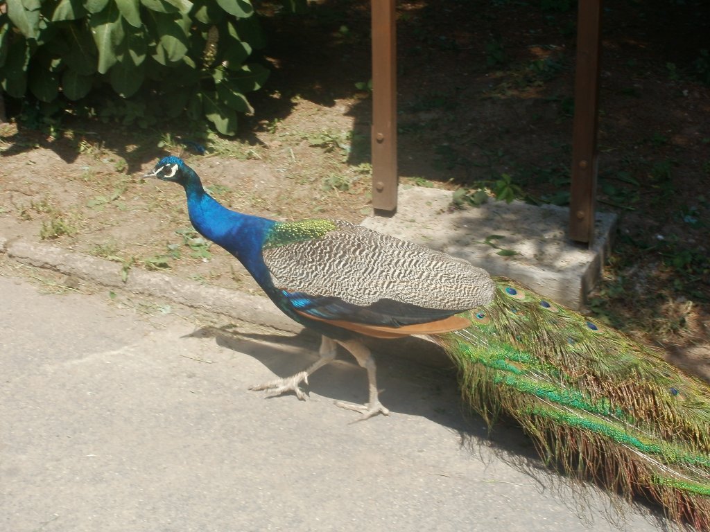 DINOPARK VYŠKOV 2011