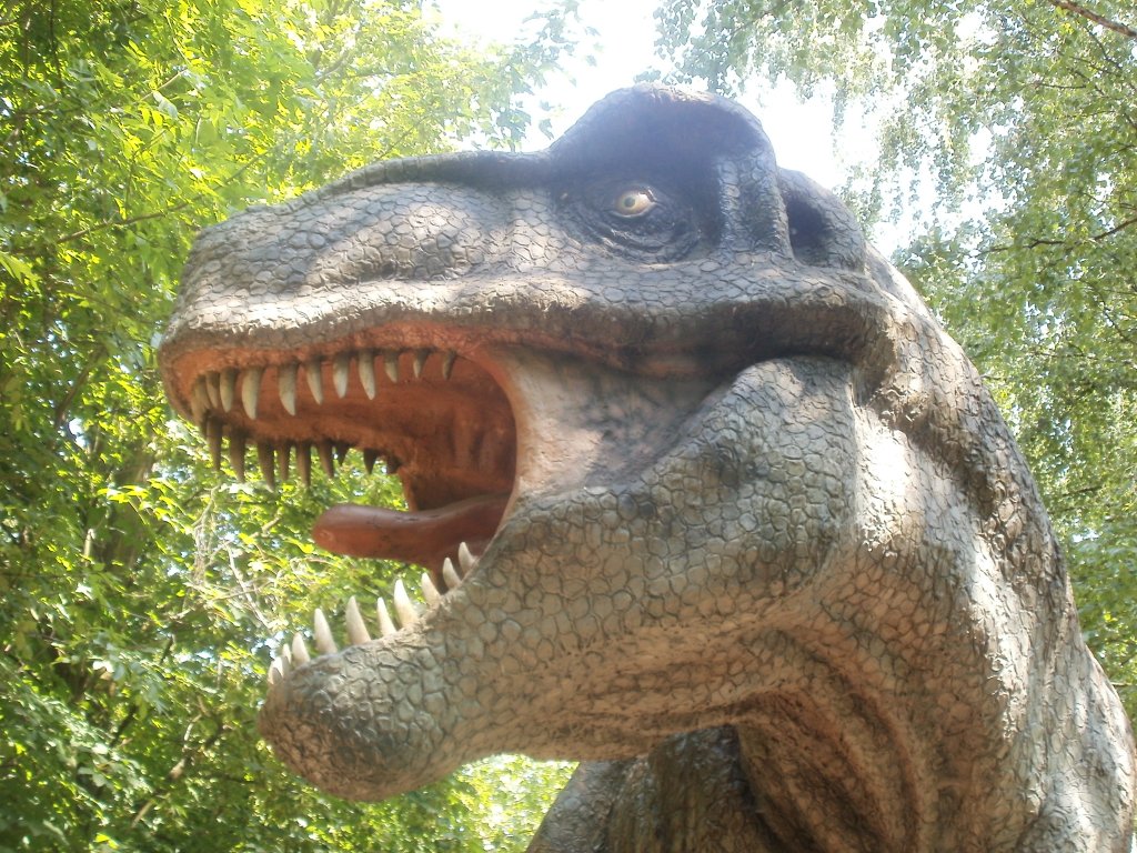 DINOPARK VYŠKOV 2011