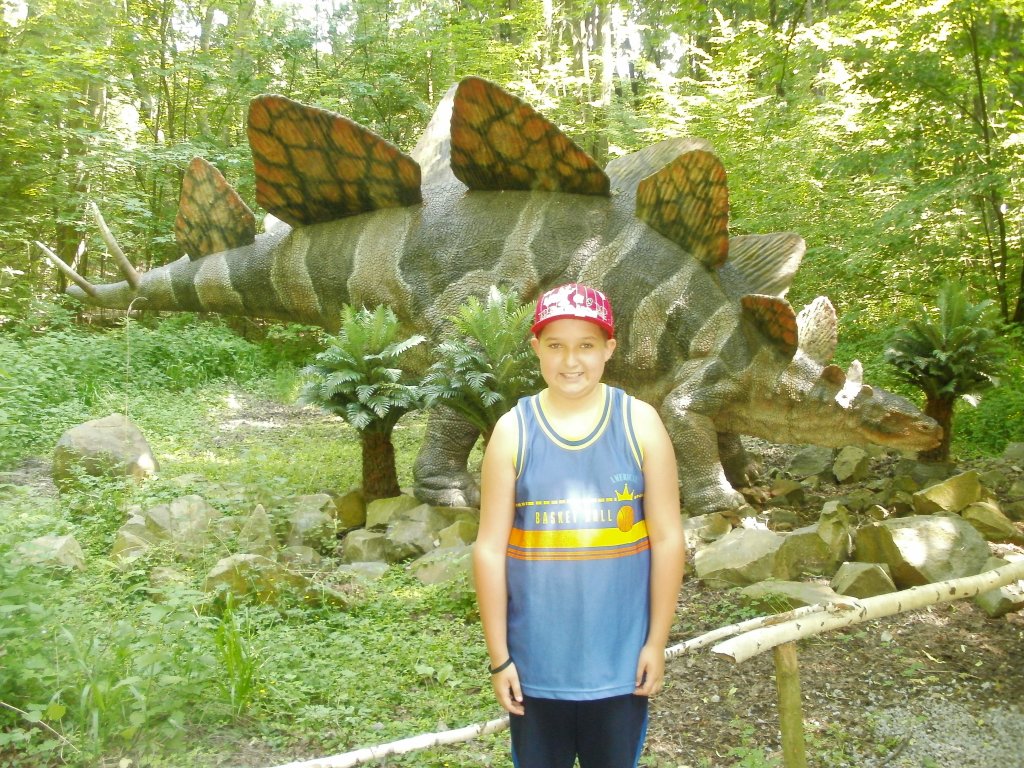 DINOPARK VYŠKOV 2011