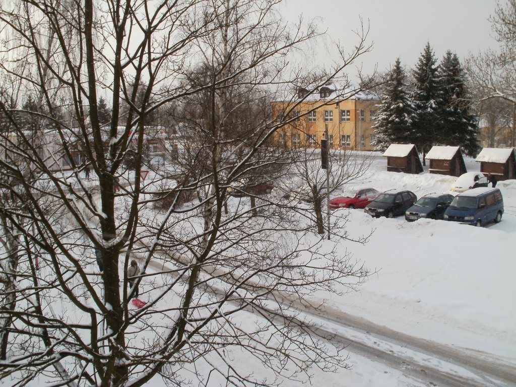 Veřejné