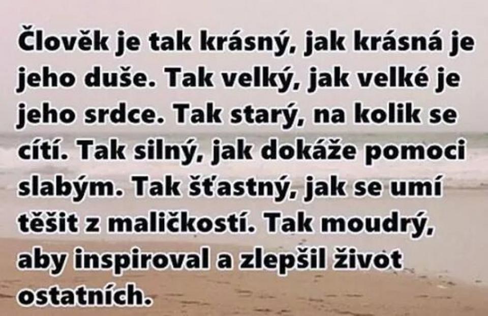Citáty