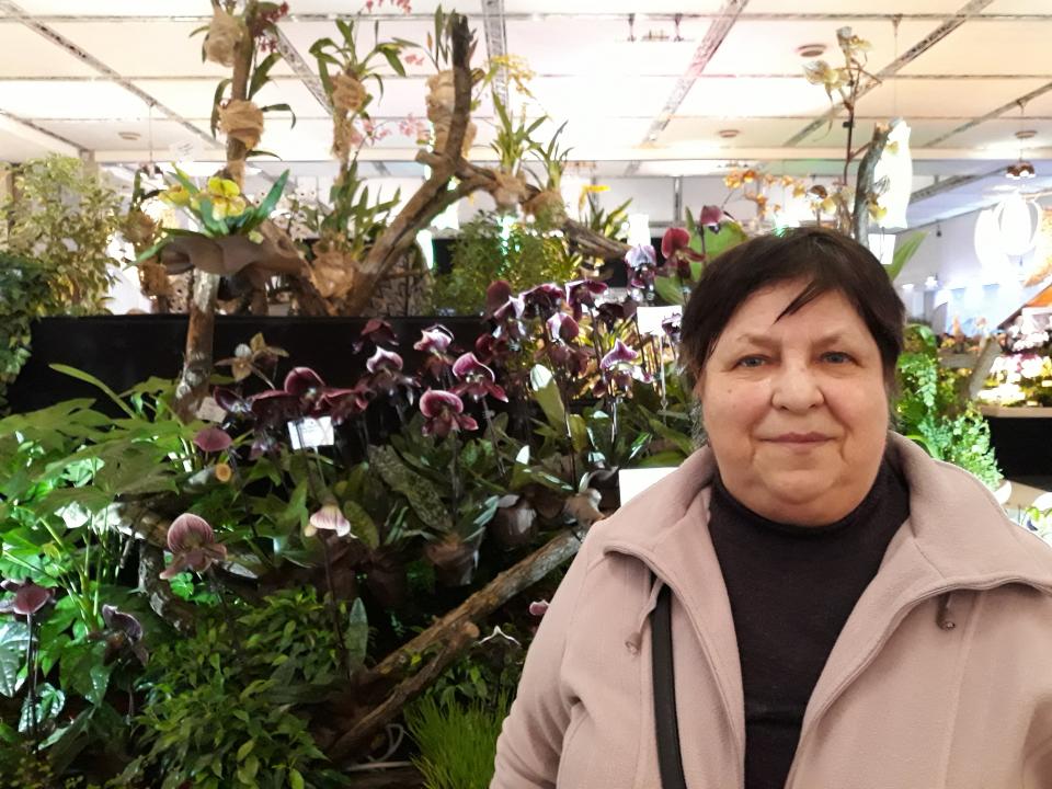 Drážďany 24.3.2018 Výstava orchideí