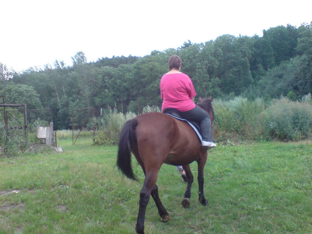 fota z dovči.jezdíme na ko