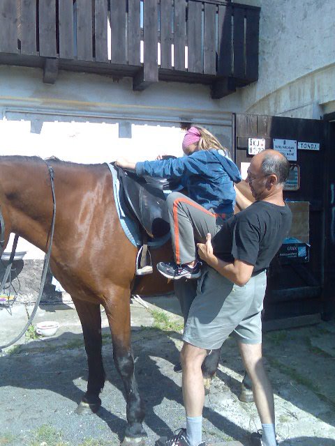 fota z dovči.jezdíme na ko