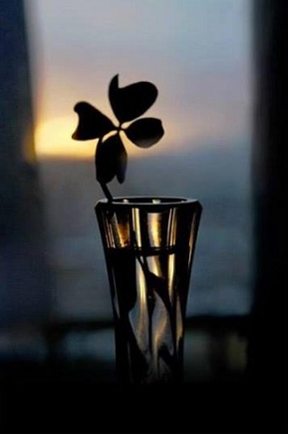 Štěstí! Co je štěstí? ....