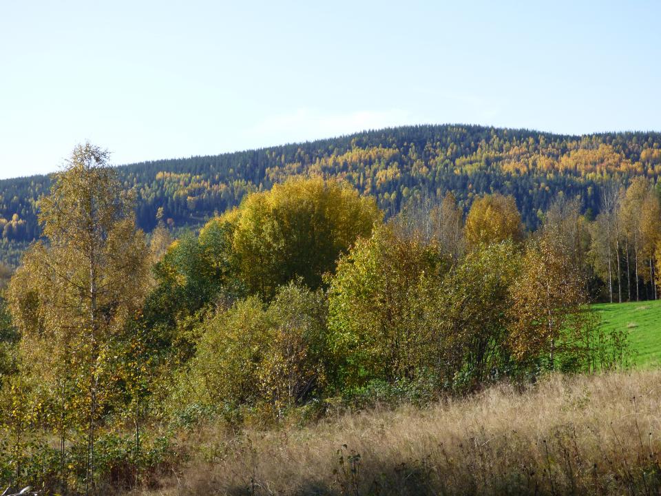 prisel podzim