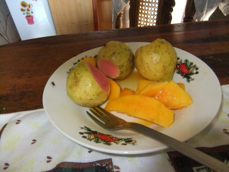 mango s gvajavou