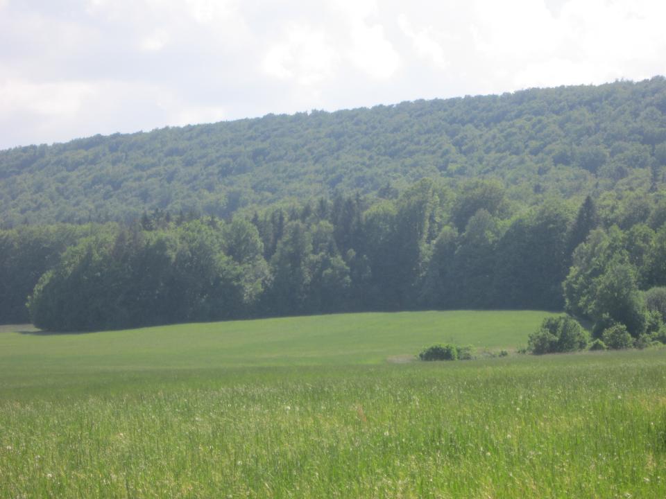 JAK JE U NÁS KRÁSNÉ JARO..