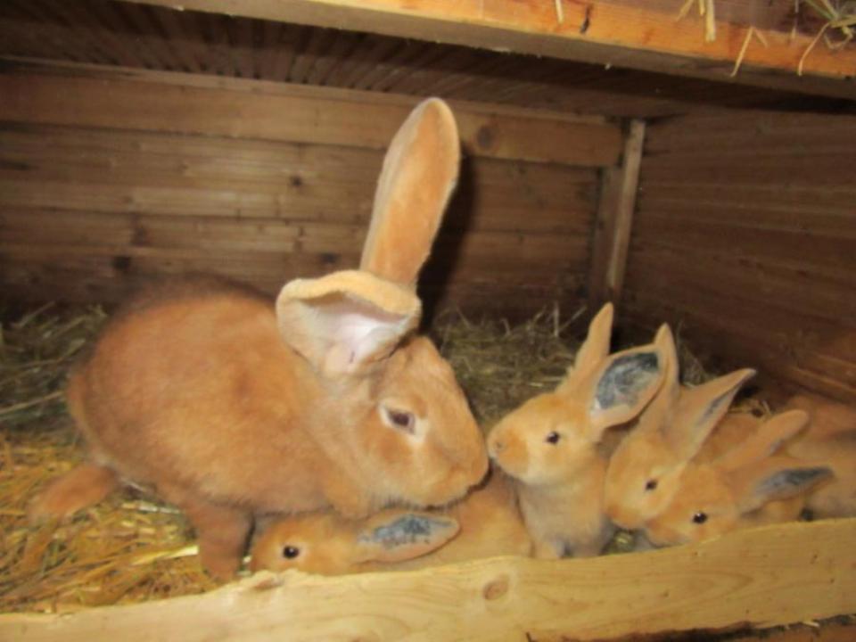 vše co mám a znám