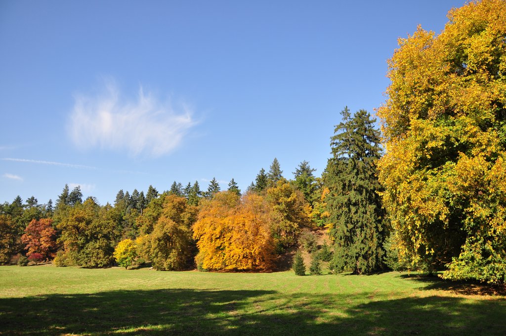 Park Průhonice 9.10 2010